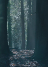 charmed-online-dot-nl_Charmed4x03UnluckyCharmed1484.jpg