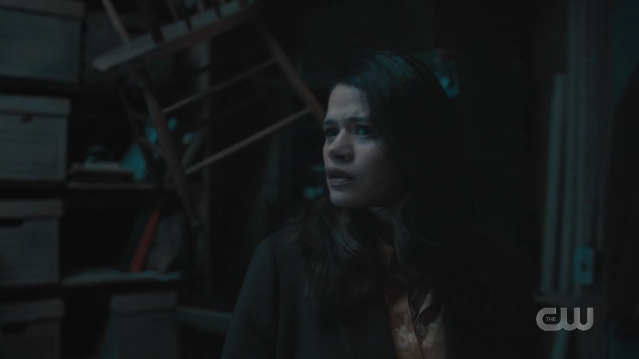 charmed-online-dot-nl_charmed4x04Ripples1919.jpg