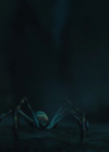 charmed-online-dot-nl_charmed4x04Ripples0117.jpg