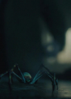 charmed-online-dot-nl_charmed4x04Ripples0118.jpg