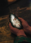 Bestandsnaam=charmed-online-dot-nl_charmed4x04Ripples2330.jpg
Bestandsgrootte=422KiB
Afmetingen = 1280x720
Datum toegevoegd = jul 05, 2022 charmed-online-dot-nl_charmed4x04Ripples2330.jpg