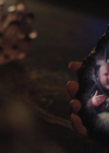 Bestandsnaam=charmed-online-dot-nl_Charmed4x05TheSisterhoodoftheTravelingSandwich2120.jpg
Bestandsgrootte=373KiB
Afmetingen = 1280x720
Datum toegevoegd = jul 05, 2022 charmed-online-dot-nl_Charmed4x05TheSisterhoodoftheTravelingSandwich2120.jpg