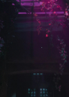 charmed-online-dot-nl_Charmed4x07CatsandCamelsandElephantsohmy1832.jpg