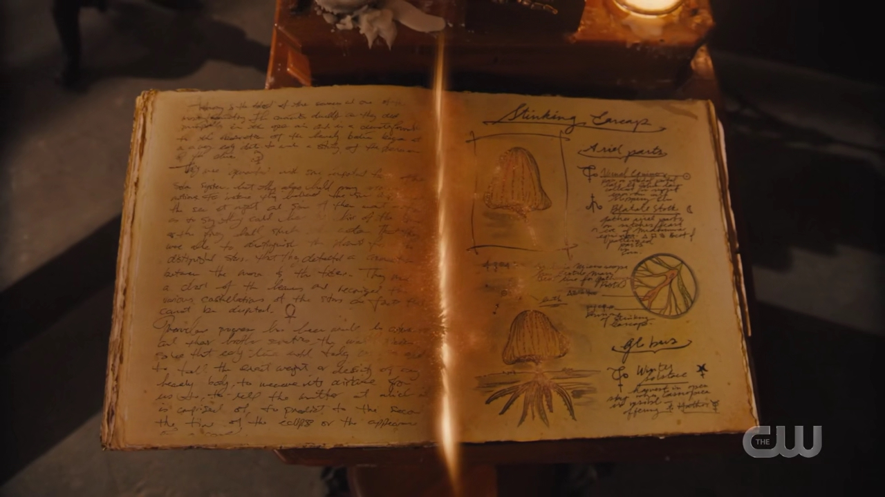 charmed-online-dot-nl_Charmed4x09TruthorCares2416.jpg