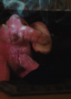 Bestandsnaam=charmed-online-dot-nl_Charmed4x09TruthorCares1378.jpg
Bestandsgrootte=392KiB
Afmetingen = 1280x720
Datum toegevoegd = jul 06, 2022 charmed-online-dot-nl_Charmed4x09TruthorCares1378.jpg