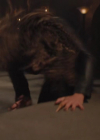 charmed-online-dot-nl_Charmed4x10HashingItOut0636.jpg