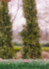 charmed-online-dot-nl_Charmed4x11DivineSecretsoftheOGSisterhood1019.jpg