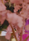 charmed-online-dot-nl_Charmed4x11DivineSecretsoftheOGSisterhood1044.jpg