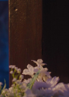 Bestandsnaam=charmed-online-dot-nl_Charmed4x11DivineSecretsoftheOGSisterhood1304.jpg
Bestandsgrootte=421KiB
Afmetingen = 1280x720
Datum toegevoegd = jul 06, 2022 charmed-online-dot-nl_Charmed4x11DivineSecretsoftheOGSisterhood1304.jpg