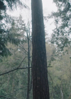 charmed-online-dot-nl_Charmed4x13TheEndisNevertheEnd0514.jpg