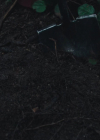 charmed-online-dot-nl_Charmed4x13TheEndisNevertheEnd0521.jpg