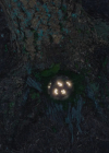 Bestandsnaam=charmed-online-dot-nl_Charmed4x13TheEndisNevertheEnd0972.jpg
Bestandsgrootte=575KiB
Afmetingen = 1280x720
Datum toegevoegd = jul 07, 2022 charmed-online-dot-nl_Charmed4x13TheEndisNevertheEnd0972.jpg
