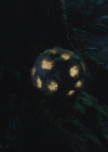 Bestandsnaam=charmed-online-dot-nl_Charmed4x13TheEndisNevertheEnd1534.jpg
Bestandsgrootte=426KiB
Afmetingen = 1280x720
Datum toegevoegd = jul 07, 2022 charmed-online-dot-nl_Charmed4x13TheEndisNevertheEnd1534.jpg