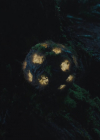 Bestandsnaam=charmed-online-dot-nl_Charmed4x13TheEndisNevertheEnd1535.jpg
Bestandsgrootte=431KiB
Afmetingen = 1280x720
Datum toegevoegd = jul 07, 2022 charmed-online-dot-nl_Charmed4x13TheEndisNevertheEnd1535.jpg