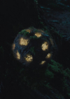 Bestandsnaam=charmed-online-dot-nl_Charmed4x13TheEndisNevertheEnd1536.jpg
Bestandsgrootte=424KiB
Afmetingen = 1280x720
Datum toegevoegd = jul 07, 2022 charmed-online-dot-nl_Charmed4x13TheEndisNevertheEnd1536.jpg