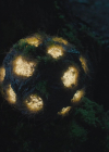 Bestandsnaam=charmed-online-dot-nl_Charmed4x13TheEndisNevertheEnd1551.jpg
Bestandsgrootte=401KiB
Afmetingen = 1280x720
Datum toegevoegd = jul 07, 2022 charmed-online-dot-nl_Charmed4x13TheEndisNevertheEnd1551.jpg