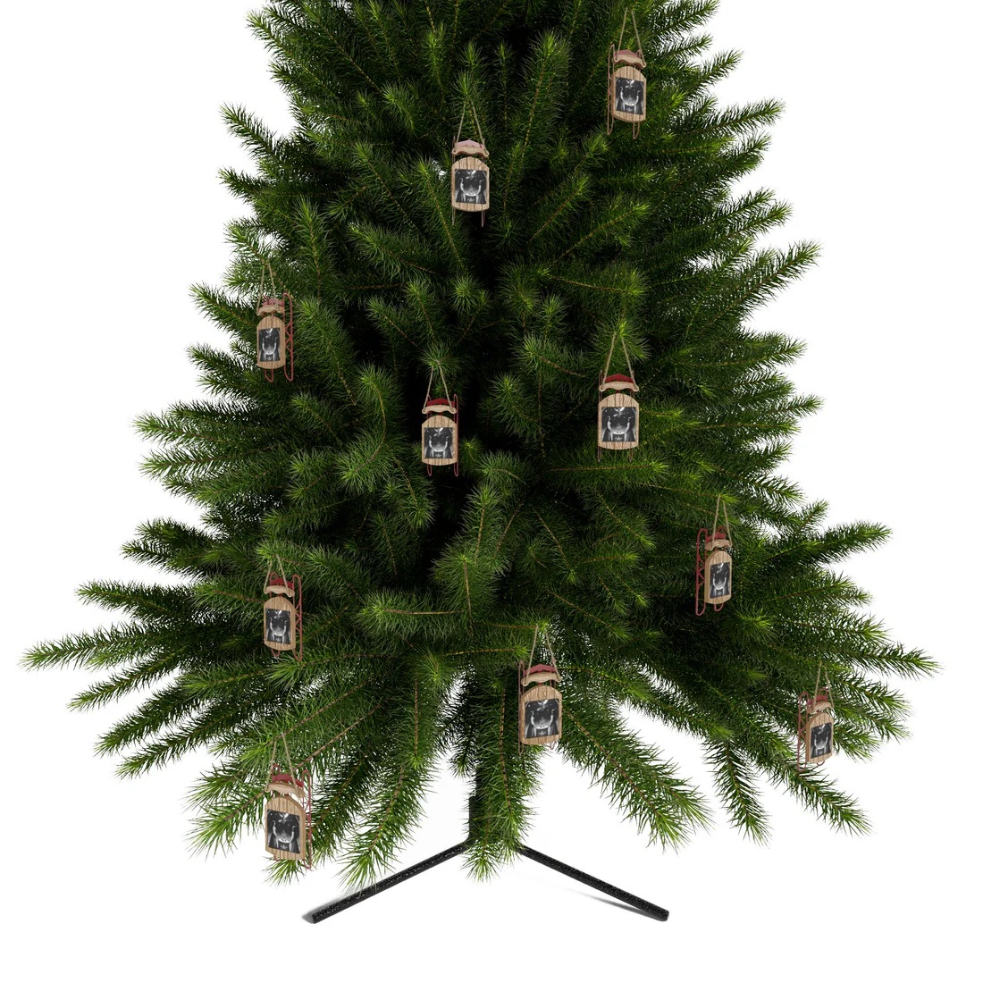ornaments-sled003.jpg
