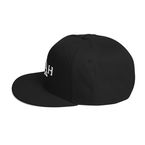 snapback002.jpg