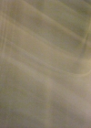 P3200810.JPG