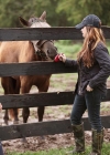 BP_GCSNH101H_lexington-horse-sanctuary_p.jpg