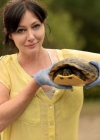 BP_GCSNH105H_georgia-sea-turtle-center_j.jpg