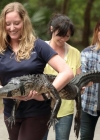 BP_GCSNH105H_releasing-alligator-at-sea-turtle-center_j.jpg