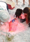 BP_GCSNH106H_searching-for-sea-turtles_j.jpg